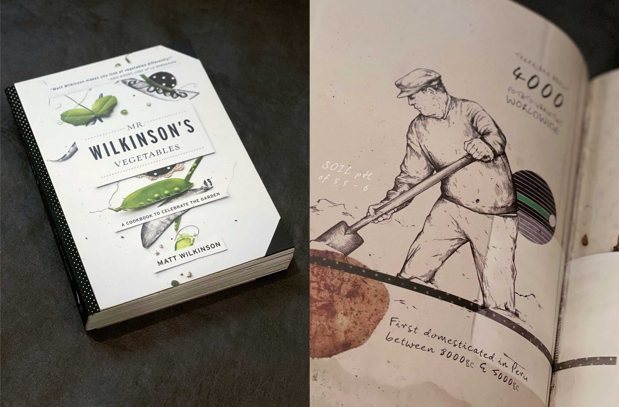 Mr. Wilkinson's Vegetables cover with inset photograph