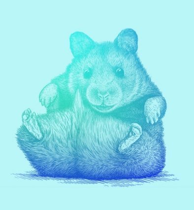 OReilly hamster illustration