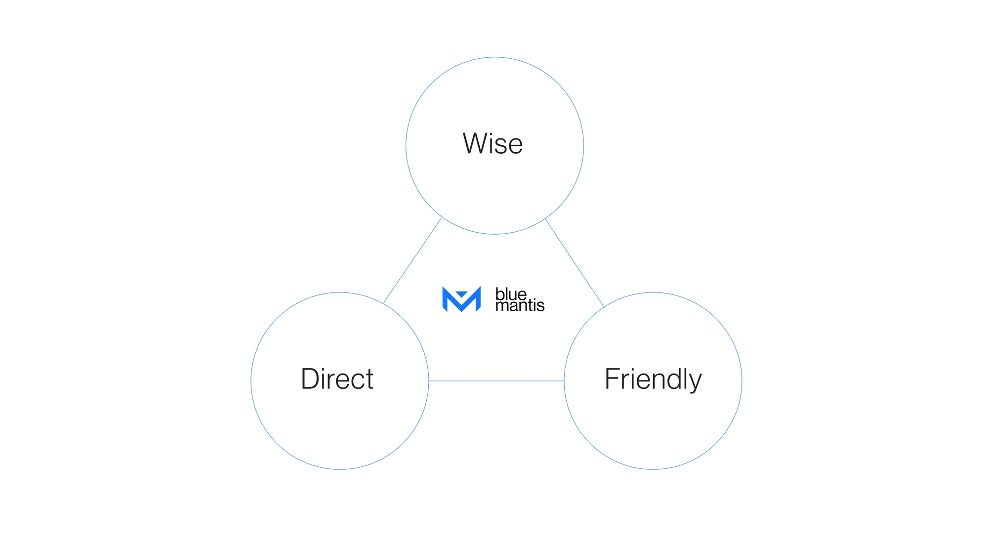 Blue Mantis logo inside a triangle with the words Wise, Direct, and Friendly in circles on the edge of the triangle