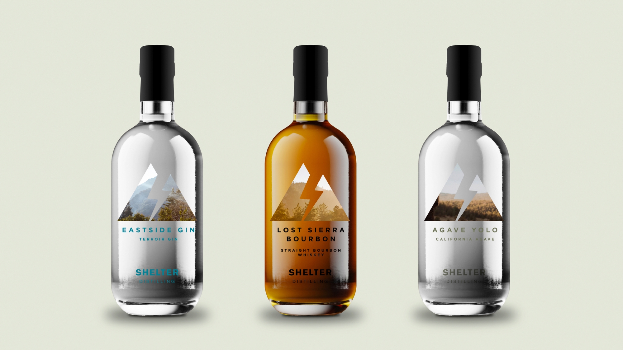 Shelter Distilling bottle designs