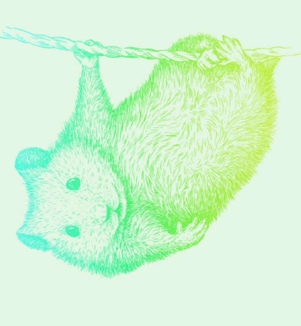 Oreilly hanging creature illustration