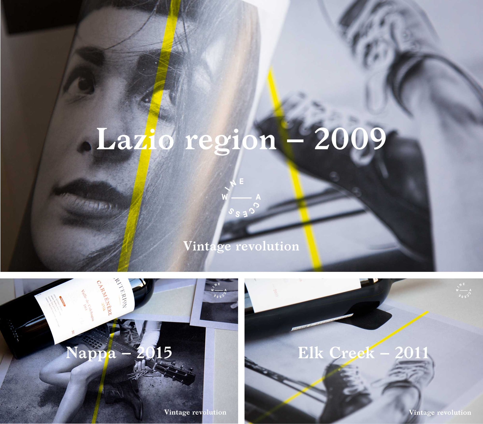 WineAccess website design, wine region
