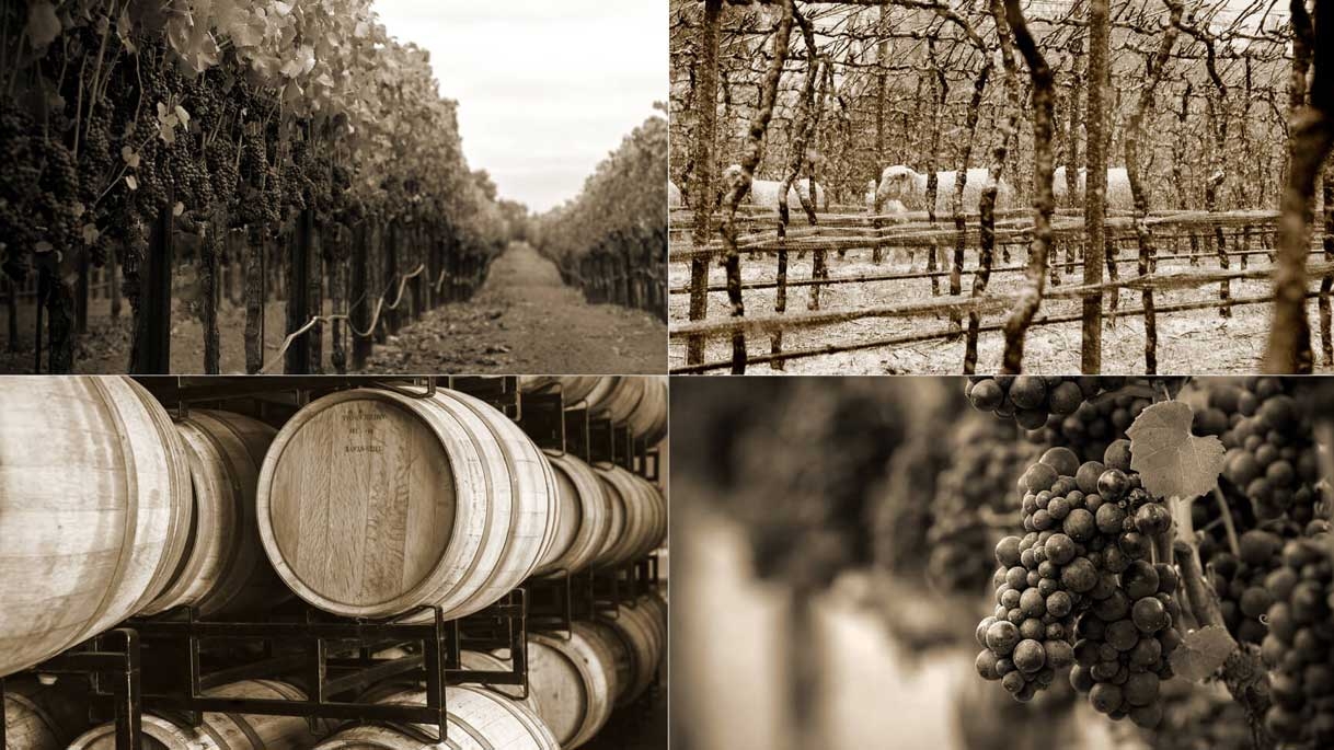 collage of sepia toned images of winery