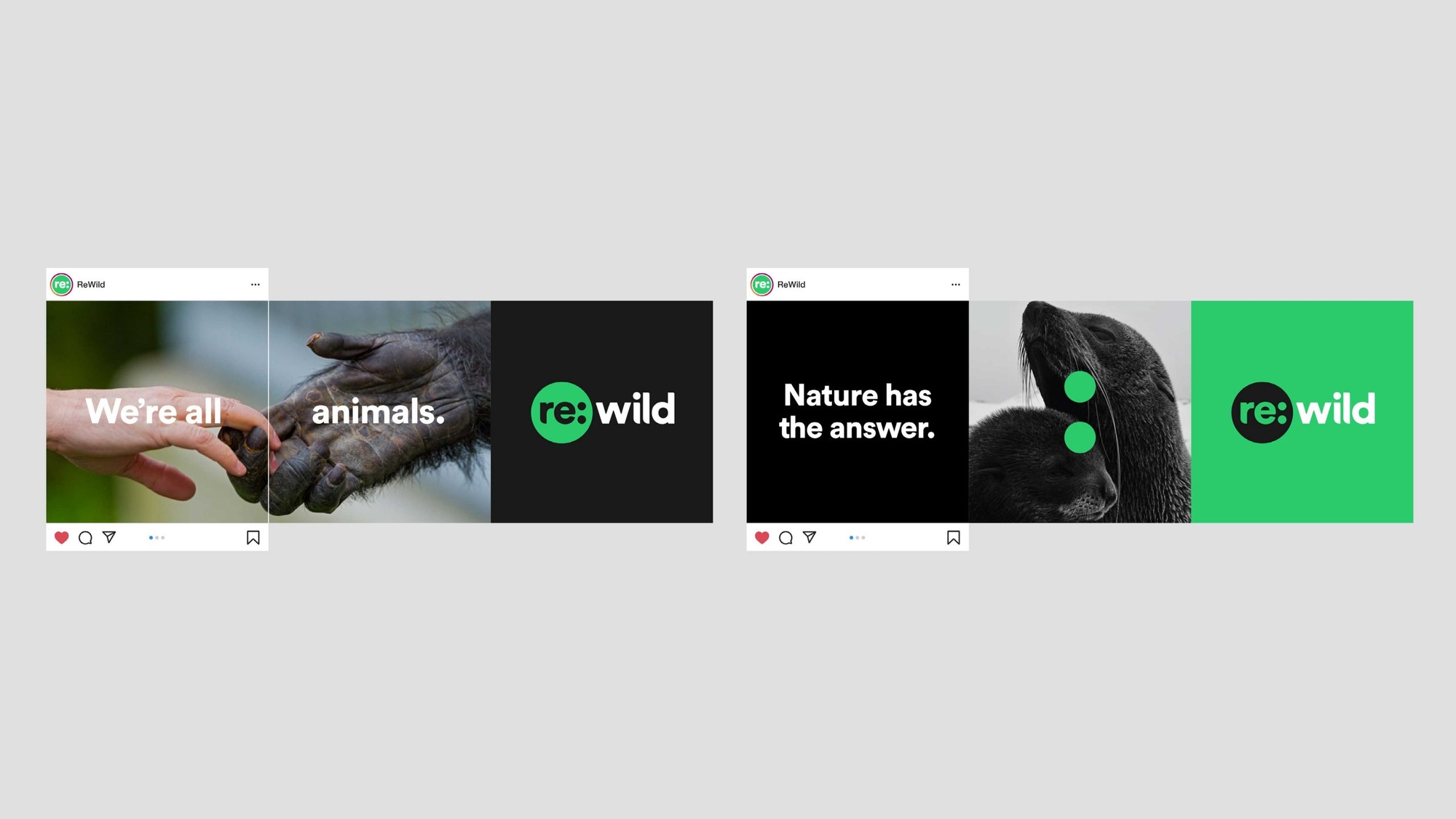 Re:wild social mockups
